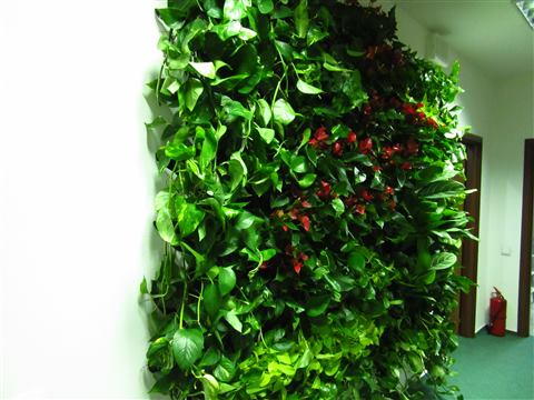 Grădină verticală cu plante naturale – UiPath, foto 36 din 66