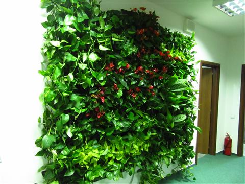 Grădină verticală cu plante naturale – UiPath, foto 37 din 66