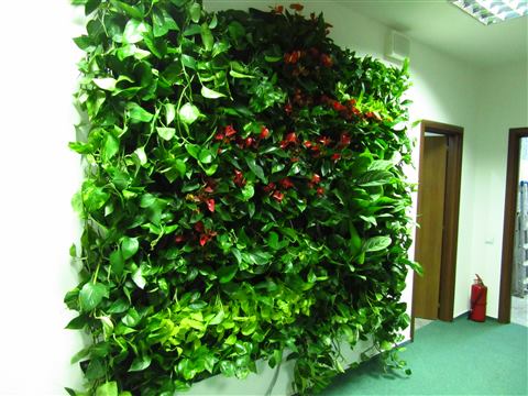 Grădină verticală cu plante naturale – UiPath, foto 38 din 66