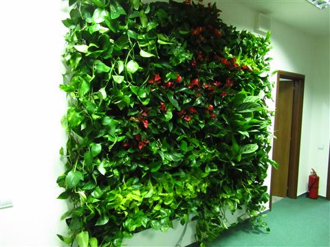 Grădină verticală cu plante naturale – UiPath, foto 39 din 66