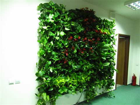 Grădină verticală cu plante naturale – UiPath, foto 40 din 66