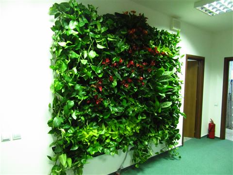 Grădină verticală cu plante naturale – UiPath, foto 41 din 66