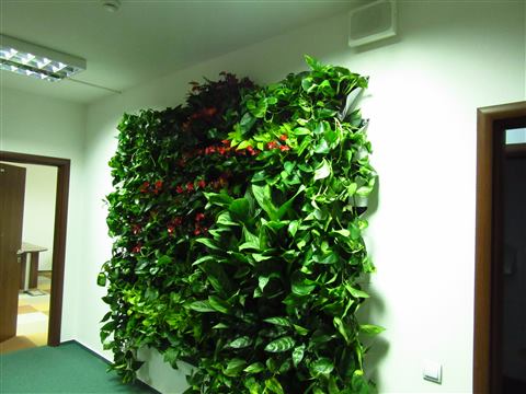 Grădină verticală cu plante naturale – UiPath, foto 42 din 66