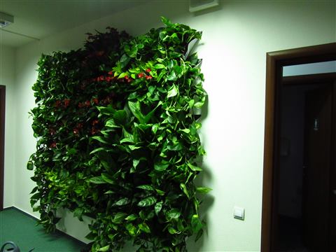 Grădină verticală cu plante naturale – UiPath, foto 43 din 66