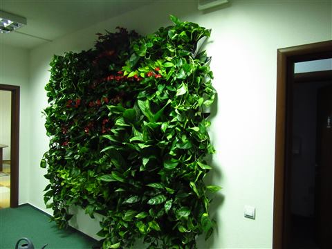 Grădină verticală cu plante naturale – UiPath, foto 44 din 66