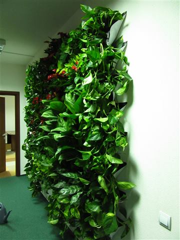 Grădină verticală cu plante naturale – UiPath, foto 45 din 66