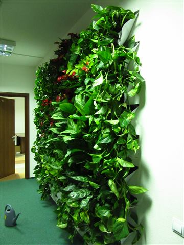 Grădină verticală cu plante naturale – UiPath, foto 46 din 66