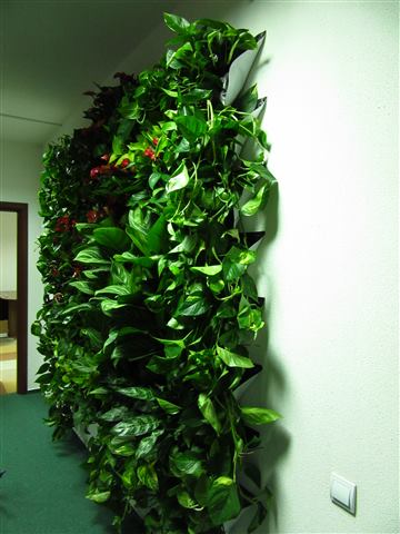 Grădină verticală cu plante naturale – UiPath, foto 47 din 66