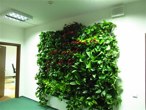 Grădină verticală cu plante naturale – UiPath, foto 51 din 66