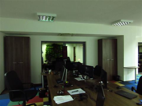 Grădină verticală cu plante naturale – UiPath, foto 52 din 66