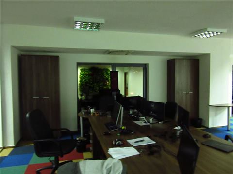 Grădină verticală cu plante naturale – UiPath, foto 53 din 66