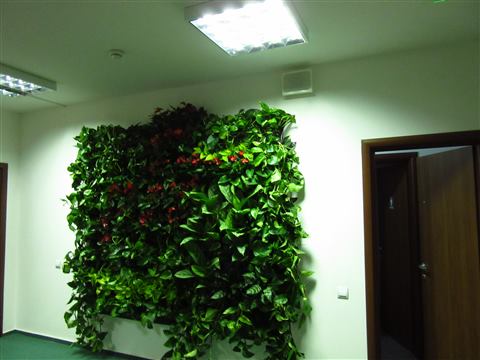 Grădină verticală cu plante naturale – UiPath, foto 54 din 66
