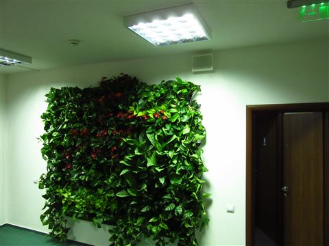 Grădină verticală cu plante naturale – UiPath, foto 55 din 66