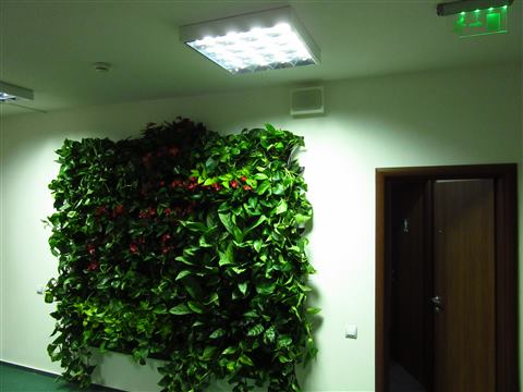 Grădină verticală cu plante naturale – UiPath, foto 56 din 66
