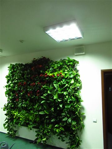 Grădină verticală cu plante naturale – UiPath, foto 57 din 66