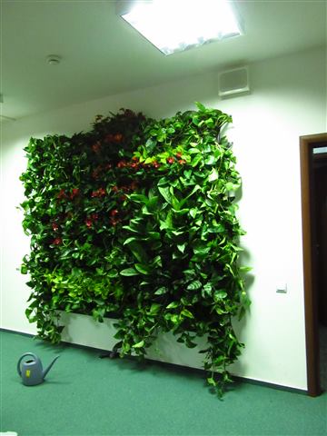Grădină verticală cu plante naturale – UiPath, foto 58 din 66