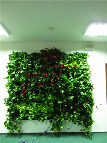 Grădină verticală cu plante naturale – UiPath, foto 59 din 66