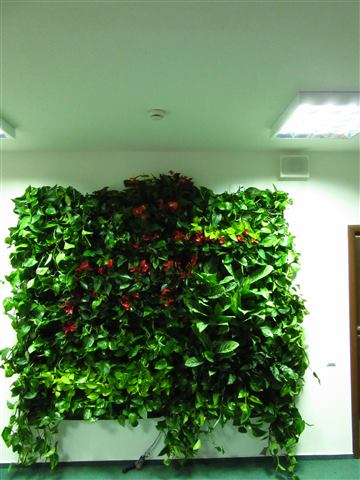 Grădină verticală cu plante naturale – UiPath, foto 61 din 66