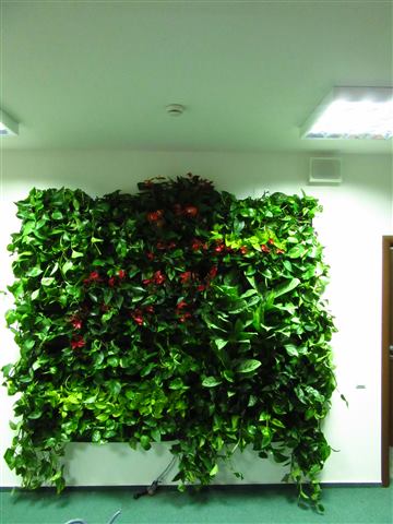 Grădină verticală cu plante naturale – UiPath, foto 62 din 66
