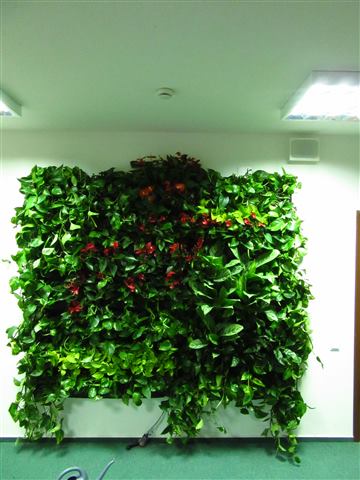 Grădină verticală cu plante naturale – UiPath, foto 63 din 66