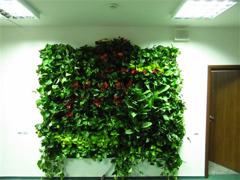 Grădină verticală cu plante naturale – UiPath, foto 64 din 66