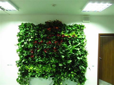 Grădină verticală cu plante naturale – UiPath, foto 65 din 66