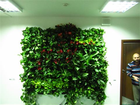 Grădină verticală cu plante naturale – UiPath, foto 66 din 66