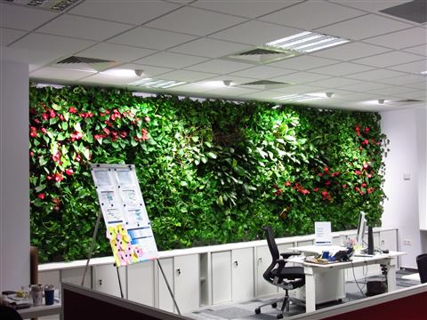 Grădină verticală cu plante naturale – Multinațională Asigurări, foto 1 din 7
