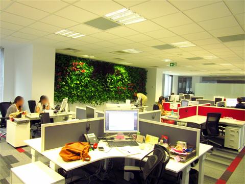Grădină verticală cu plante naturale – Multinațională Asigurări, foto 2 din 7
