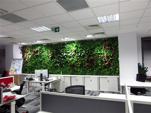 Grădină verticală cu plante naturale – Multinațională Asigurări, foto 7 din 7