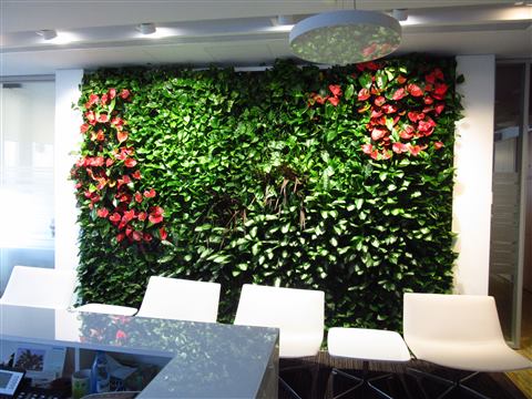 Grădină verticală cu plante naturale – Multinațională Pharma, foto 2 din 4