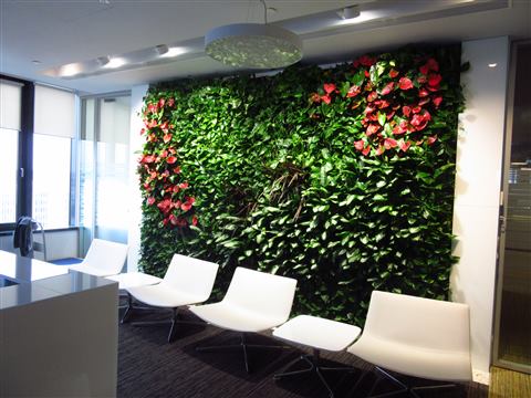 Grădină verticală cu plante naturale – Multinațională Pharma, foto 3 din 4