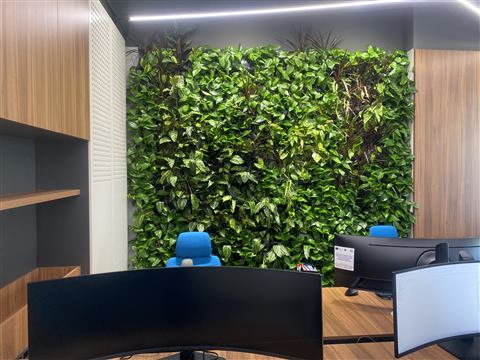Grădină verticală cu plante naturale – Structural Group Constanța, foto 6 din 10