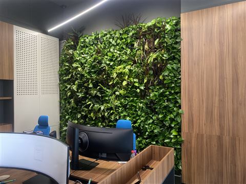 Grădină verticală cu plante naturale – Structural Group Constanța, foto 9 din 10