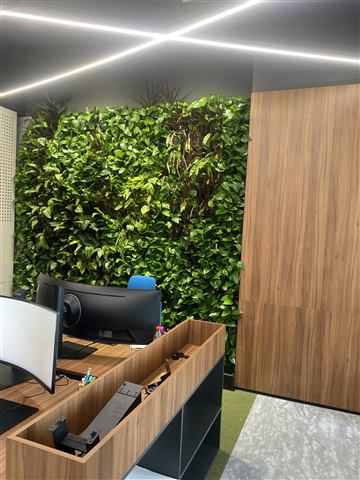 Grădină verticală cu plante naturale – Structural Group Constanța, foto 10 din 10