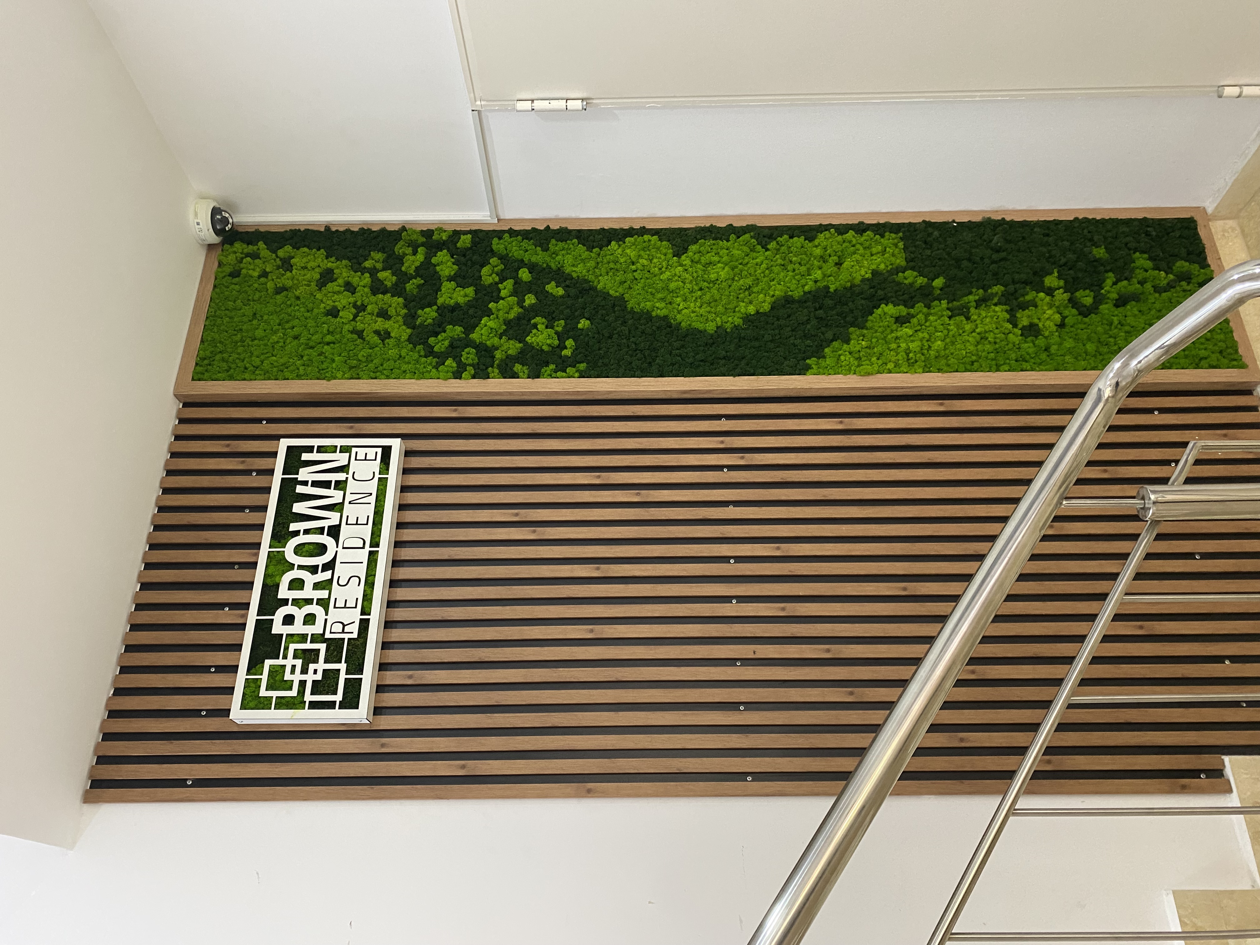 perete vegetal cu licheni stabilizati Green Walls detaliu textura