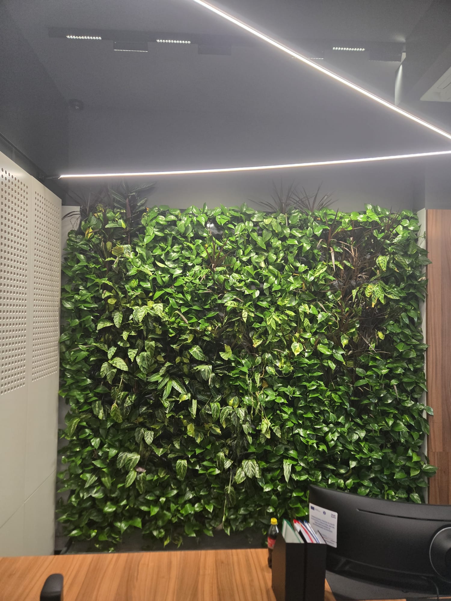 perete vegetal cu plante naturale birou Constanța – proiect 9 mp irigare automată Green Walls