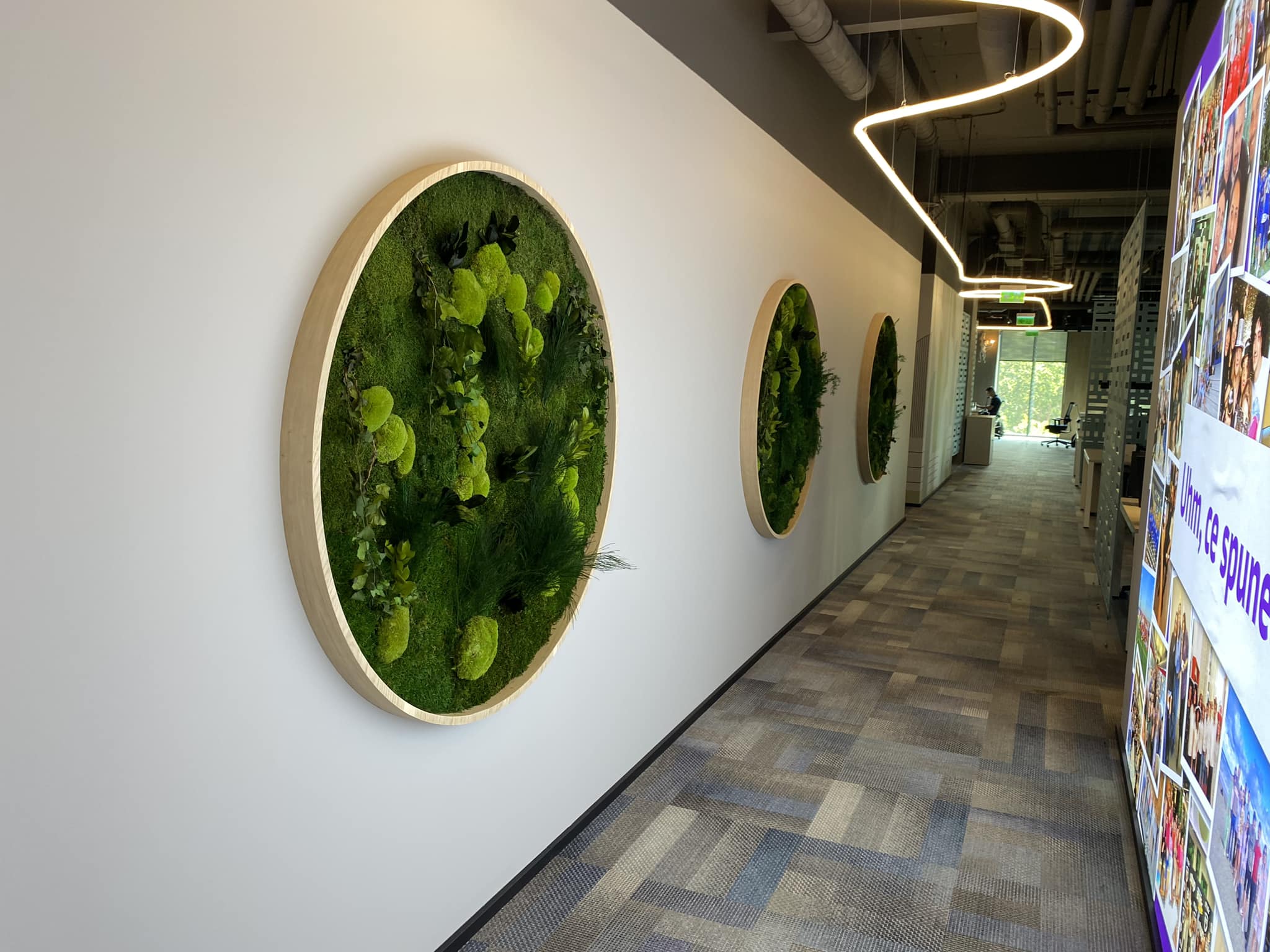 Tablou vegetal Green Walls - design personalizat cu plante