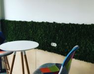 Green Walls @ Hilti Romania
