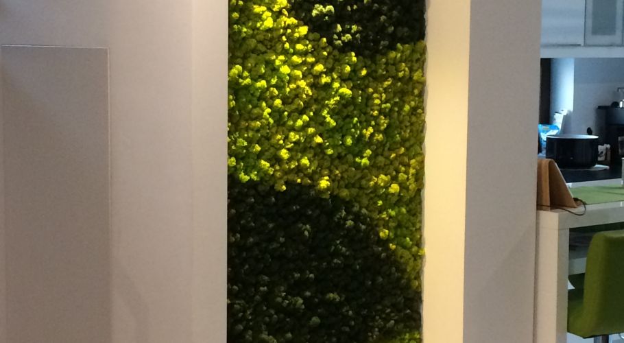 Green Walls @ Fundeni