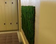 Green Walls @ Forest Retreat & Spa