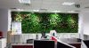 Green Walls @ Allianz