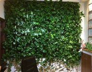 Green Walls @ Hotel Dragului Predeal