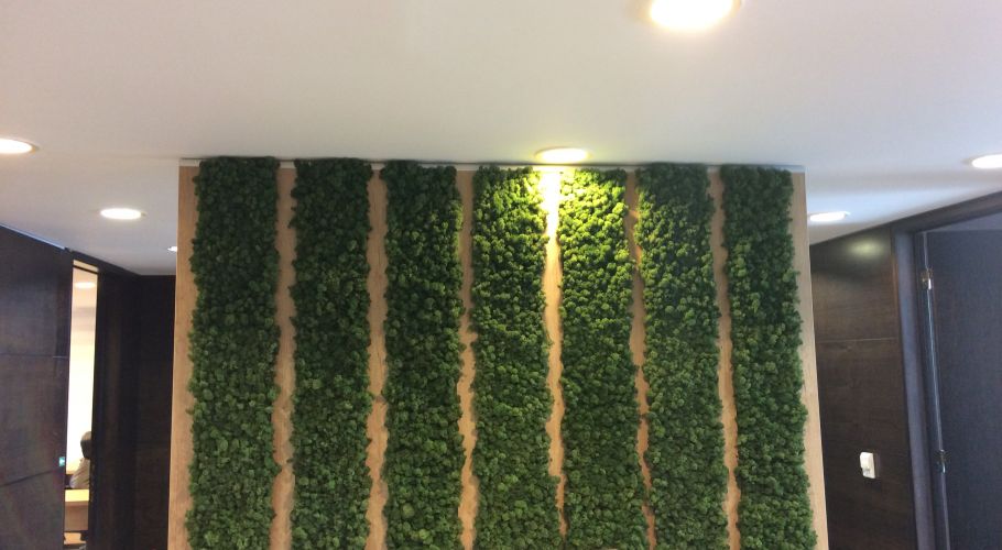 Green Walls @ B2Kapital