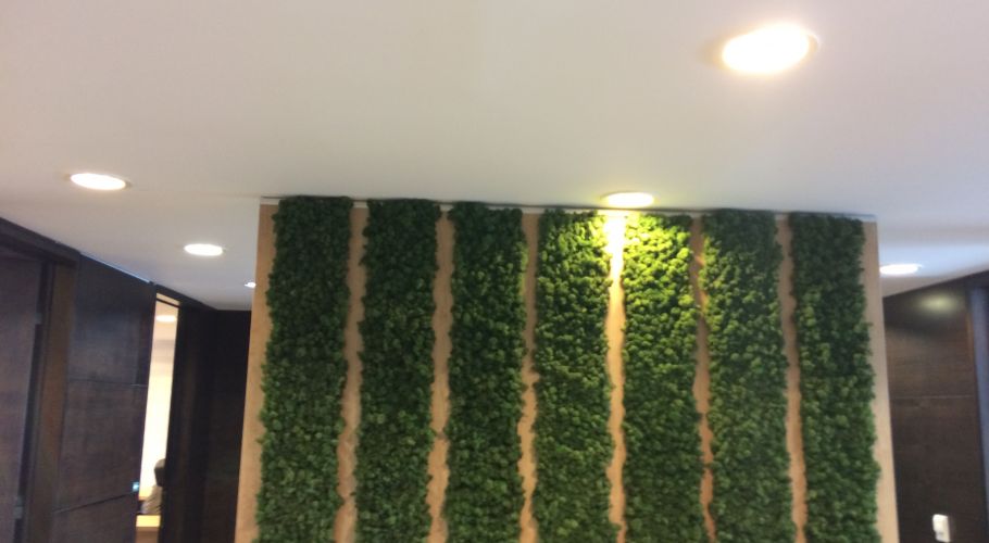 Green Walls @ B2Kapital