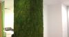 Green Walls @ Stefan cel Mare Building