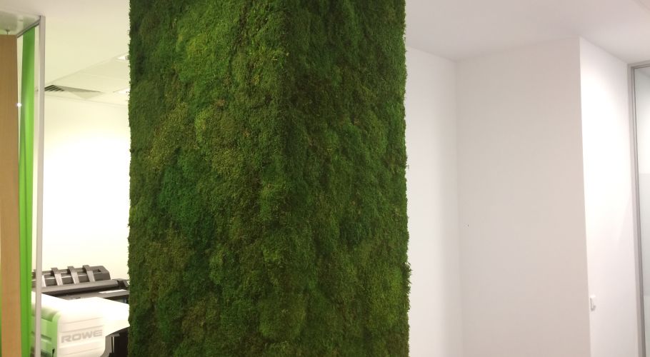 Green Walls @ Stefan cel Mare Building