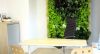 Green Walls @ Clinica Ares