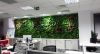 Green Walls @ Allianz