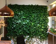 Green Walls @ Hotel Dragului Predeal